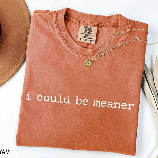 I Could Be Meaner - Funny T-Shirt
